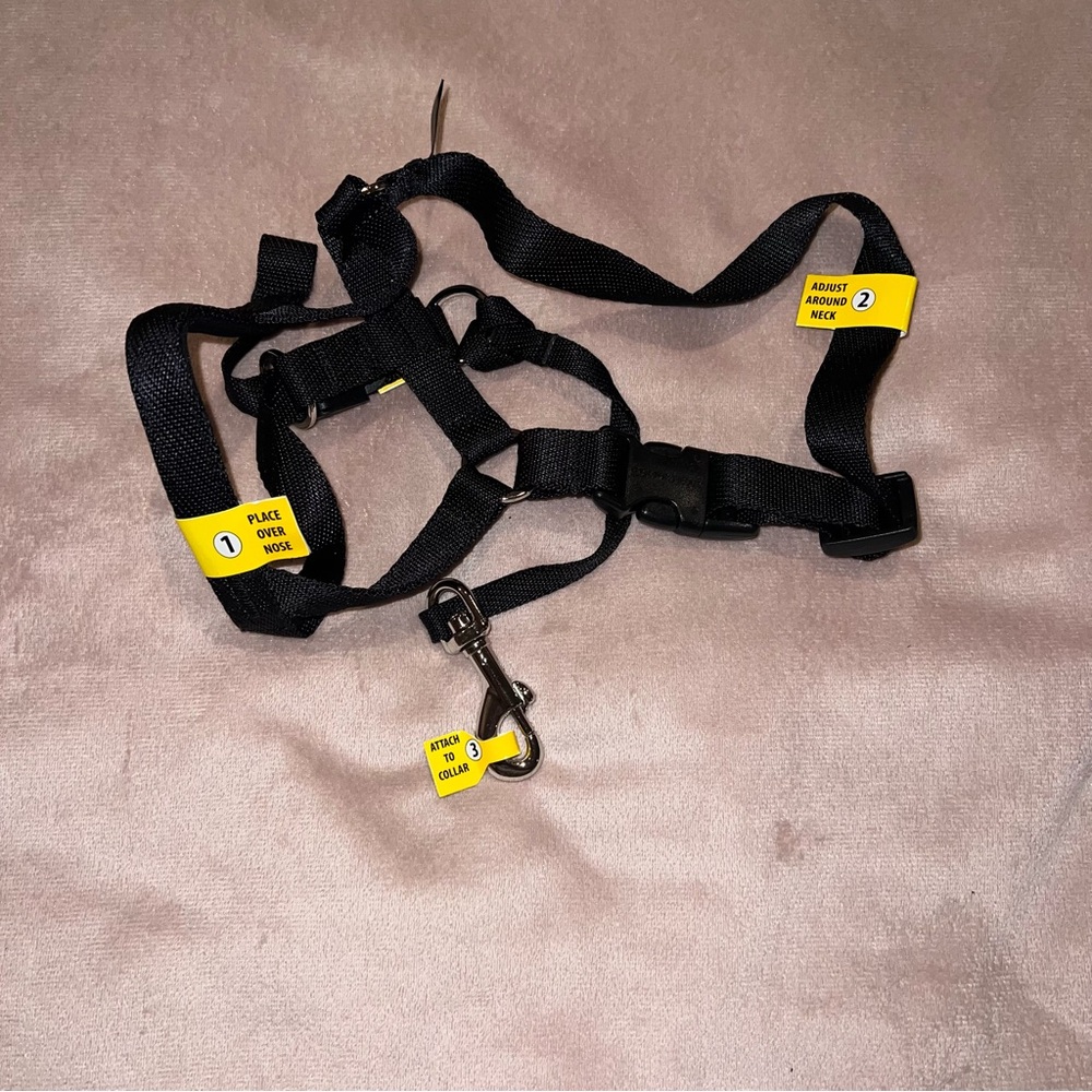 Black Adjustable Pet Harness with Yellow Tags